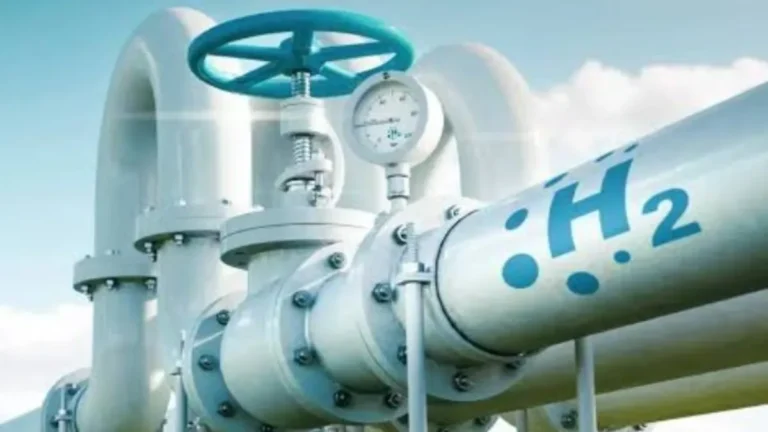 hydragen-plant-1748767528.webp.webp